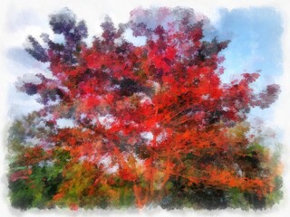 A big tree with red leaves.watercolor style illustration impressionist painting.