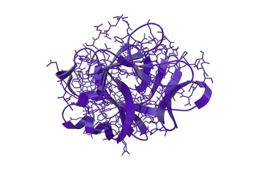 Crystal structure and molecular model of interleukin-36 gamma, previously known as interleukin-1 family number 9. Scientific background . 3d illustration