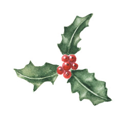 Fototapeta premium Watercolor hand drawn holly leaves and berries isolated on white.