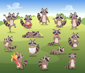 Raccoon. Cartoon wild animal in action poses mammals posing standing jumping various emotions smile raccoon exact vector flat colored pictures isolated - obrazy, fototapety, plakaty