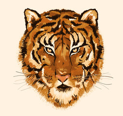 Hand drawn abstract tiger head illustration. Artistic contemporary print. Natural colors. Fashionable template for design.