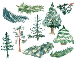 Trees, branches, pines painted in watercolor