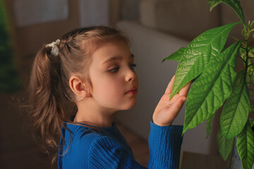 little girl in blue dress holding green leaf avocado from yellow watering can at home