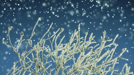 Fototapeta na wymiar Snow covered tree and snowfall