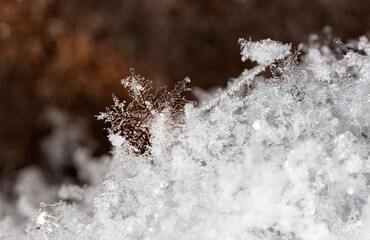 Snowflake on snow. Winter holidays and Christmas background 