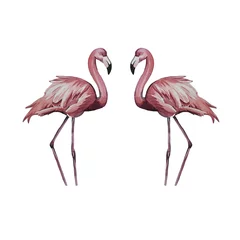Fotobehang flamingos. Watercolor illustration. Birds are hand-drawn. © Полина Путинцева