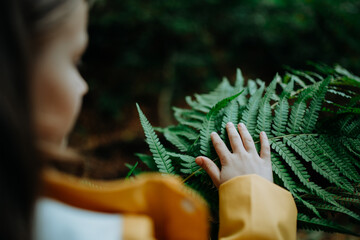 Unrecognizable little girl touching fern leaves outdoors in forest.