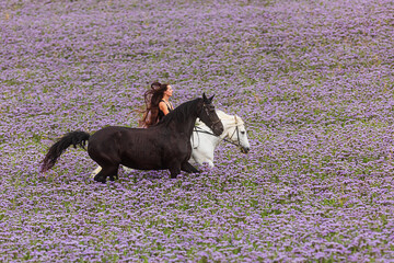 Beautiful long-haired woman gallops away on a white horse and a black stallion carries her