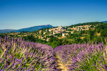 The Village of Aurel Near a Lavender Field in Beautiful Provence, France - obrazy, fototapety, plakaty