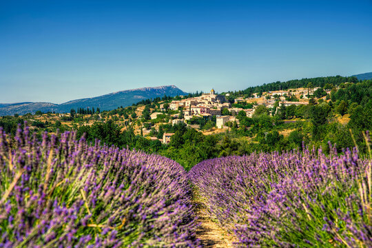 The Village of Aurel Near a Lavender Field in Beautiful Provence, France