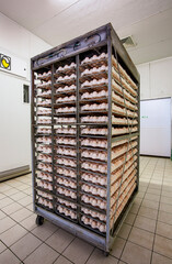 poultry industrial egg hatching machine