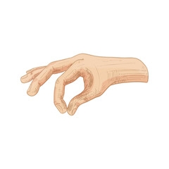 Hand sprinkling salt or pepper. Side view. Vintage vector hatching