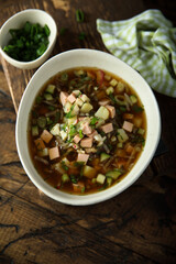 Traditional Russian cold soup with vegetables