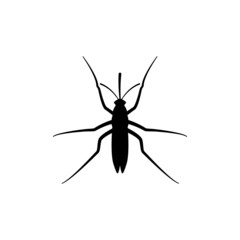 mosquito logo icon design template vector