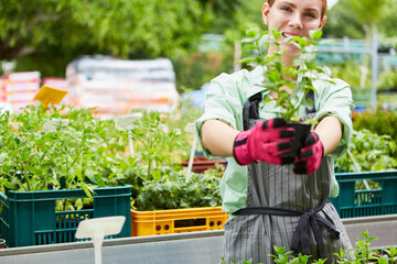 Gardener trainee with a flower on special offer