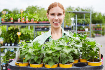 Horticultural trainee carries plants in the garden center