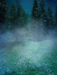 Foggy forest blue landscape in autumn - 471992622