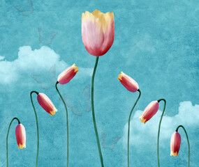 Delicate pink tulips background on a blue sky backdrop - 471992661