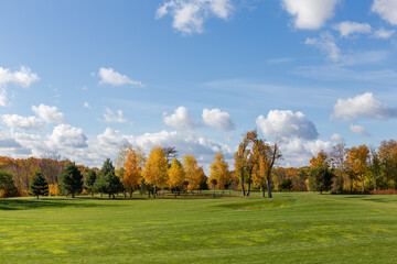 Fototapeta na wymiar Glade in autumn park with different trees on a background
