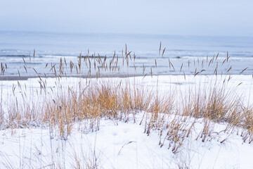 Winter landscape, snow on sea beach