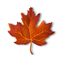 Maple leaf 3D illustration 