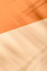 Warm orange and beige summer color background with tropical palm shadow. Two trend pastel paper and...