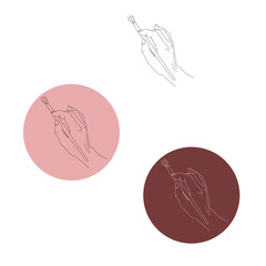 hand drawn vector illustration of onion