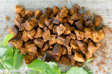 gathered and foraged chaga mushroom wild birch tree fungus it is used in alternative medicine for brewing healing tea for treatment covid-19. cleaned and sliced chaga pieces and leaves. top view