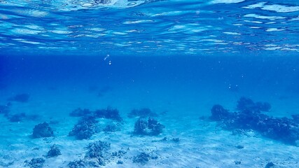 沖縄県の阿嘉島の珊瑚礁や海底の砂が綺麗な海の風景