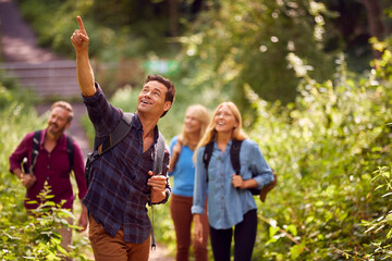 Mature And Mid Adult Couples In Countryside Hiking Along Path Through Forest Together