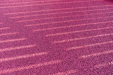 Plastic footpath particles and shadows in the sun