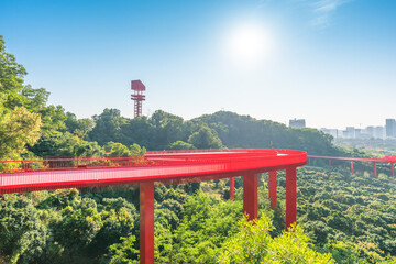 Hongqiao Park, Guangming New Area, Shenzhen