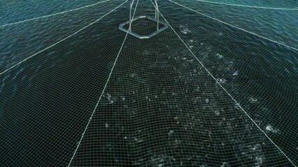 fish farm on Lake Ladoga, aerial footage