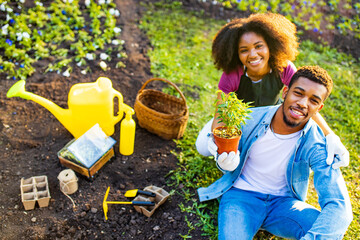 latin brazilian brother and sister working in garden outdoor planting seedlings