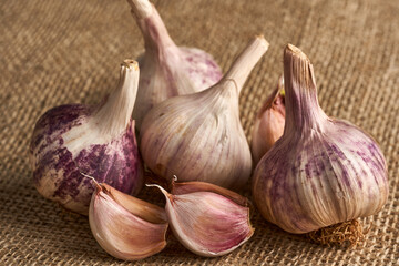 Garlic heads on fabric