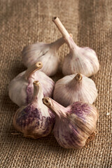Garlic heads on fabric