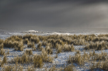 Fototapeta premium stormy sky and snow on the beach