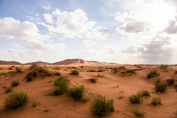 Fototapeta na wymiar Dry landscape and dunes in the Sahara desert, Morocco