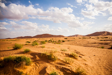 Dry landscape and dunes in the Sahara desert, Morocco