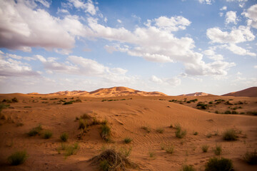 Dry landscape and dunes in the Sahara desert, Morocco