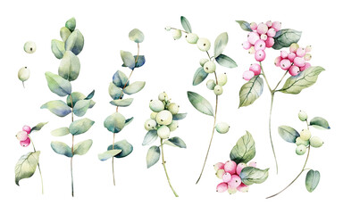 Watercolor set of eucalyptus and snowberry branches. Illustrations of a silver dollar and berries on an isolated white background for your design, print and background. © Aleksa