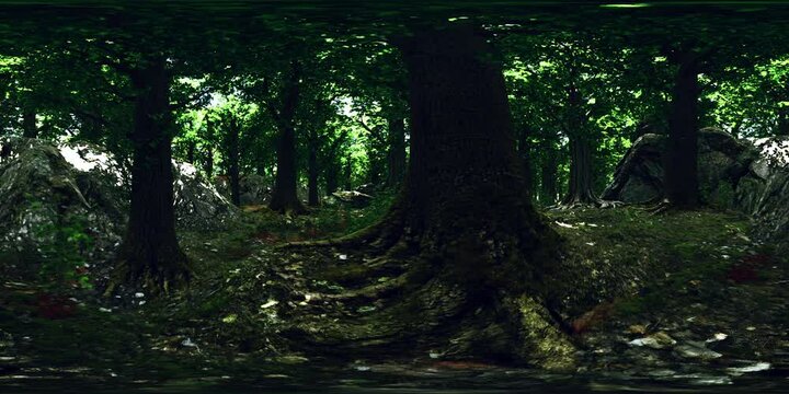 VR360 primeval forest with mossed ground