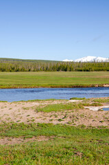 trees, river, Geyser and hot spring in old faithful basin in Yellowstone National Park in Wyoming