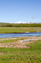 trees, river, Geyser and hot spring in old faithful basin in Yellowstone National Park in Wyoming