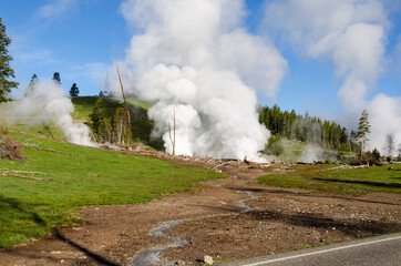 trees, river, Geyser and hot spring in old faithful basin in Yellowstone National Park in Wyoming