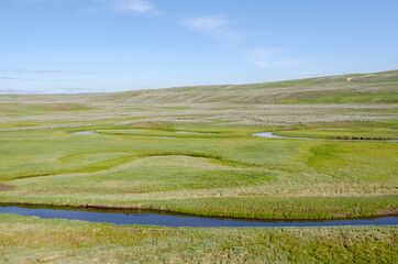 trees, river, Geyser and hot spring in old faithful basin in Yellowstone National Park in Wyoming