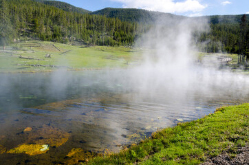 trees, river, Geyser and hot spring in old faithful basin in Yellowstone National Park in Wyoming