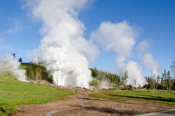 trees, river, Geyser and hot spring in old faithful basin in Yellowstone National Park in Wyoming