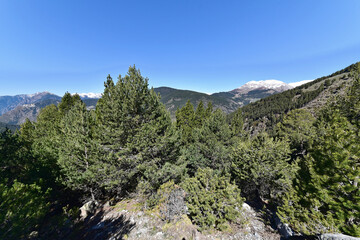 Fototapeta na wymiar Andorra - Mirador del Bosc de les Allaus