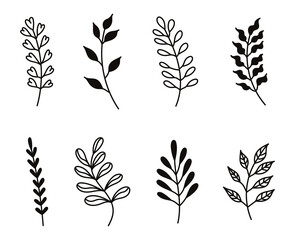 Plant branches with leaves, natural natural elements on a white background, silhouettes, line art, doodle. Bocho chic style. Plant clip art. 
